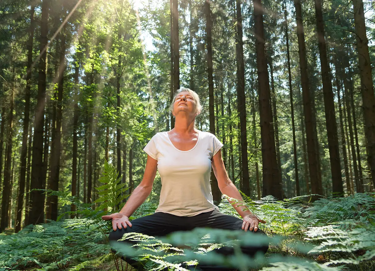 What Is Forest Bathing and How Does it Benefit Mental and Physical Health?